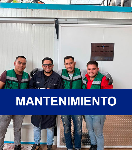 Mantenimiento